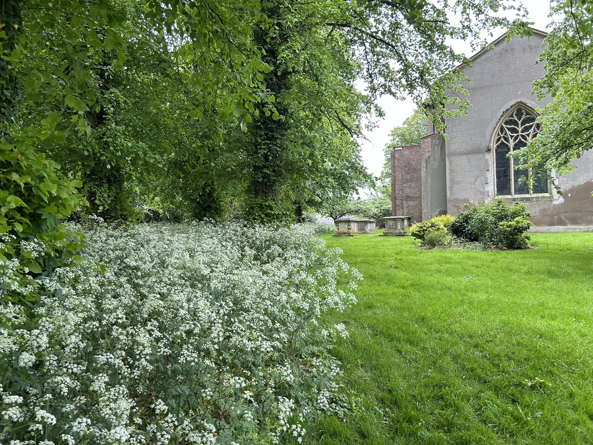 St Mary, Micheldever