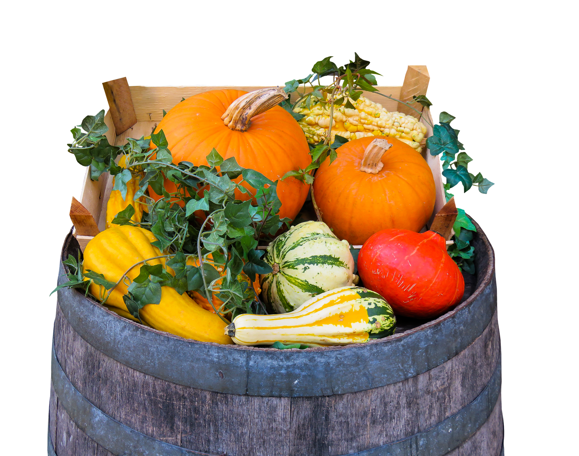 Harvest festival fruits